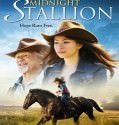 Midnight Stallion 2013
