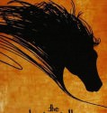 The Black Stallion (1979)