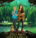 Once I Was a Beehive (2015)