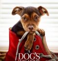 A DOG’S WAY HOME (2019)