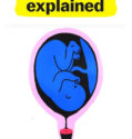 Sex Explained (2020-)